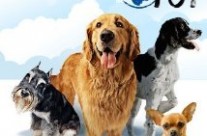 Dogs 101 – Animal Planet